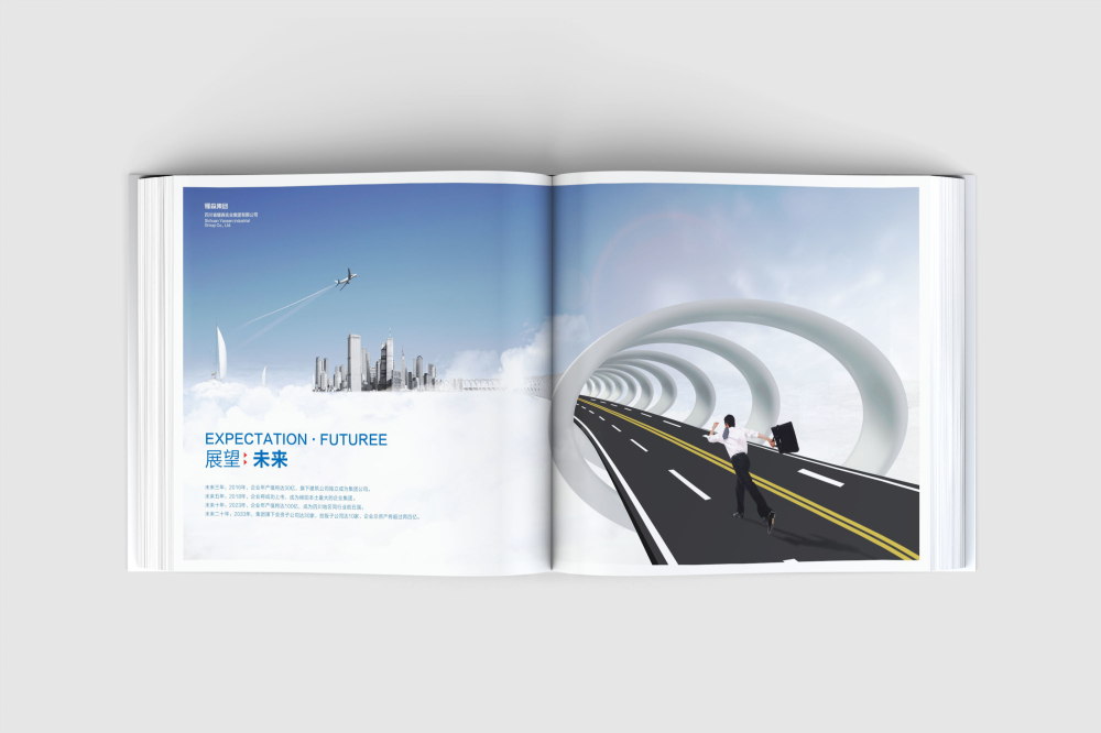 曹妃甸区画册设计